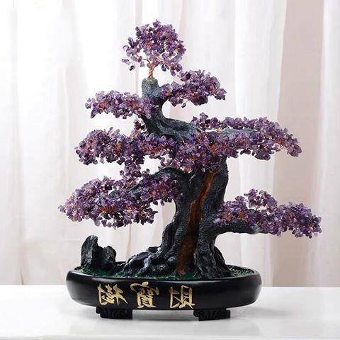Ý nghĩa cây đá tài lộc
