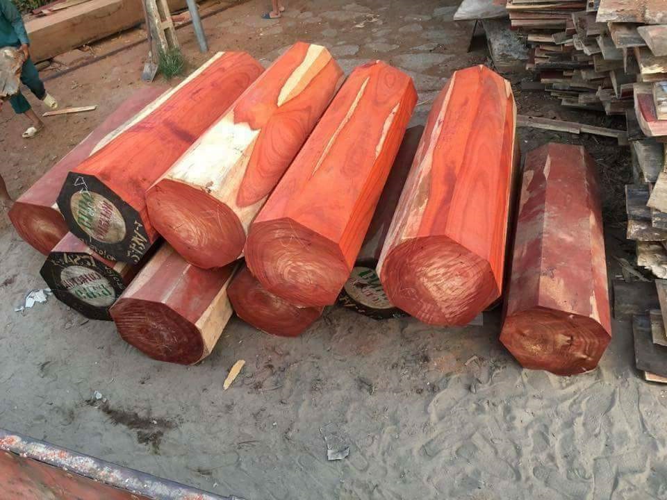 Gỗ Hương huyết