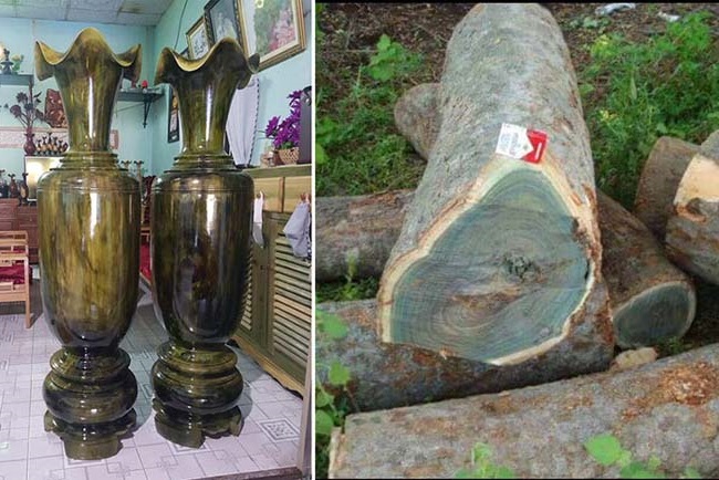 Gỗ trắc xanh