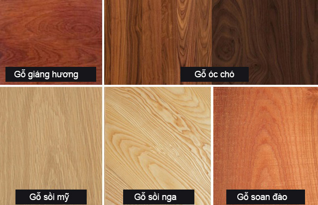 Phân biệt gỗ sồi