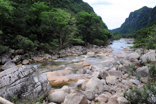 Dòng suối đá cuội