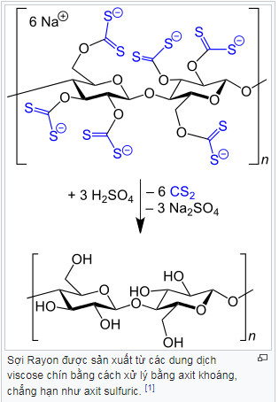 vai-Viscose-la-gi-2